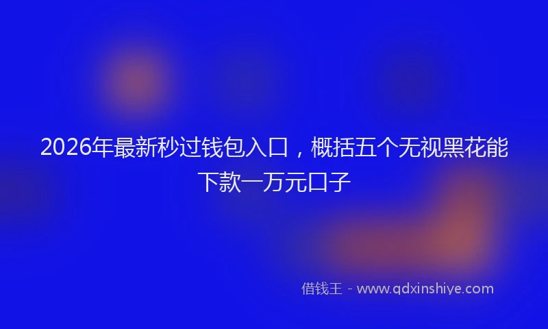 2026年最新秒过钱包入口，概括五个无视黑花能下款一万元口子