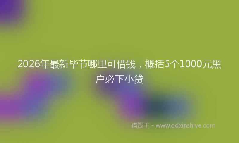 2026年最新毕节哪里可借钱，概括5个1000元黑户必下小贷