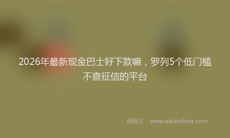 2026年最新现金巴士好下款嘛，罗列5个低门槛不查征信的平台
