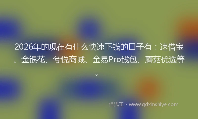 2026年的现在有什么快速下钱的口子有：速借宝、金银花、兮悦商城、金易Pro钱包、蘑菇优选等。