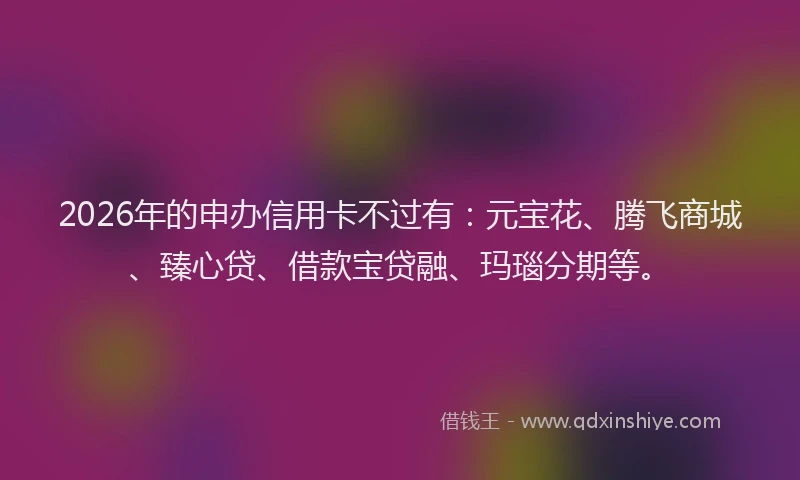2026年的申办信用卡不过有：元宝花、腾飞商城、臻心贷、借款宝贷融、玛瑙分期等。