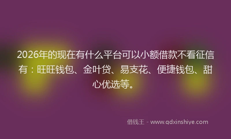 2026年的现在有什么平台可以小额借款不看征信有：旺旺钱包、金叶贷、易支花、便捷钱包、甜心优选等。