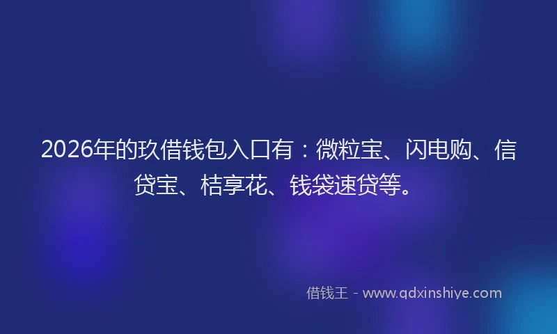 2026年的玖借钱包入口有：微粒宝、闪电购、信贷宝、桔享花、钱袋速贷等。