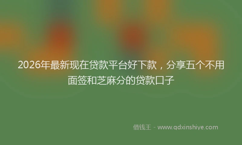 2026年最新现在贷款平台好下款，分享五个不用面签和芝麻分的贷款口子
