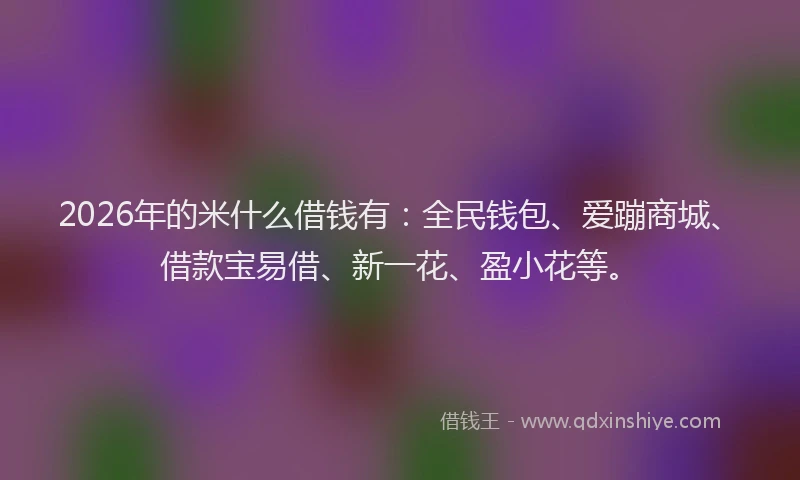 2026年的米什么借钱有：全民钱包、爱蹦商城、借款宝易借、新一花、盈小花等。