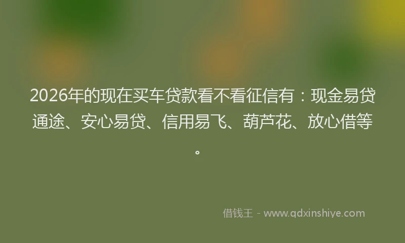 2026年的现在买车贷款看不看征信有：现金易贷通途、安心易贷、信用易飞、葫芦花、放心借等。