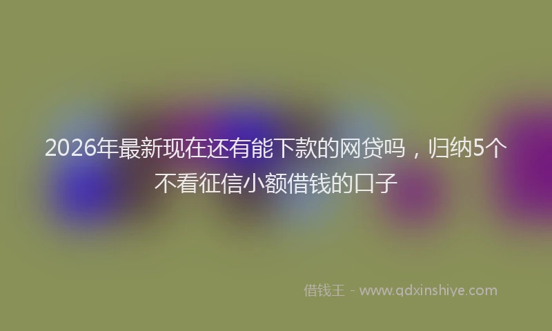2026年最新现在还有能下款的网贷吗，归纳5个不看征信小额借钱的口子