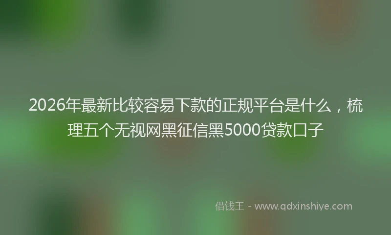 2026年最新比较容易下款的正规平台是什么，梳理五个无视网黑征信黑5000贷款口子