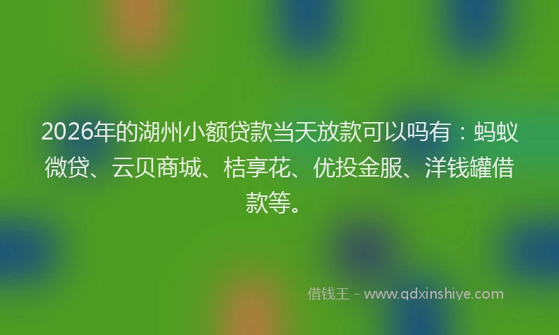 2026年的湖州小额贷款当天放款可以吗有：蚂蚁微贷、云贝商城、桔享花、优投金服、洋钱罐借款等。
