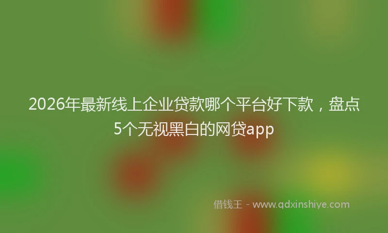 2026年最新线上企业贷款哪个平台好下款，盘点5个无视黑白的网贷app