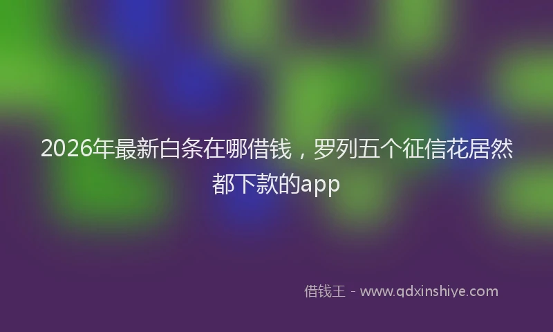 2026年最新白条在哪借钱，罗列五个征信花居然都下款的app