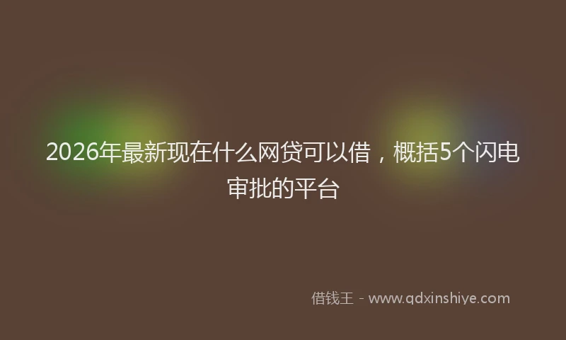 2026年最新现在什么网贷可以借，概括5个闪电审批的平台