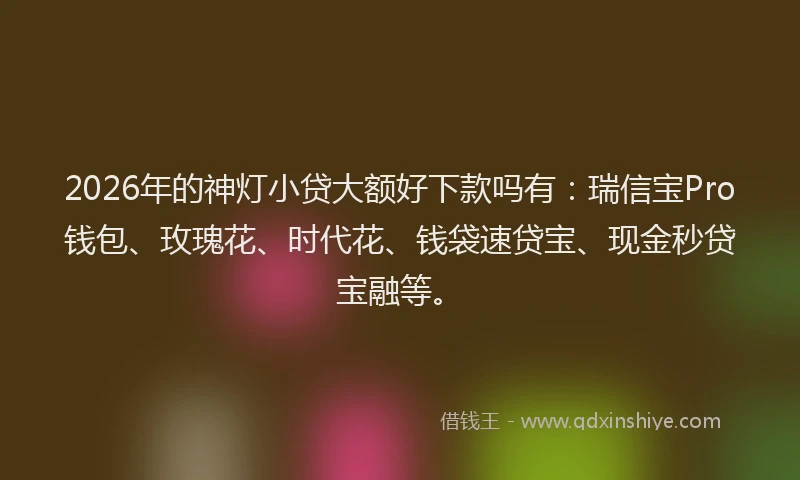 2026年的神灯小贷大额好下款吗有：瑞信宝Pro钱包、玫瑰花、时代花、钱袋速贷宝、现金秒贷宝融等。