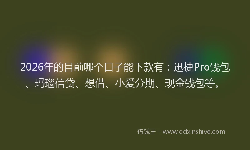 2026年的目前哪个口子能下款有：迅捷Pro钱包、玛瑙信贷、想借、小爱分期、现金钱包等。