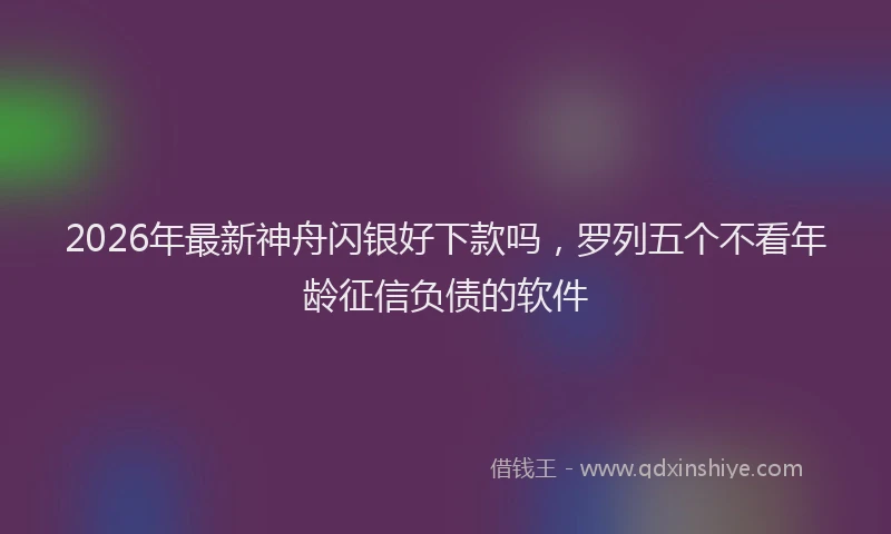 2026年最新神舟闪银好下款吗，罗列五个不看年龄征信负债的软件