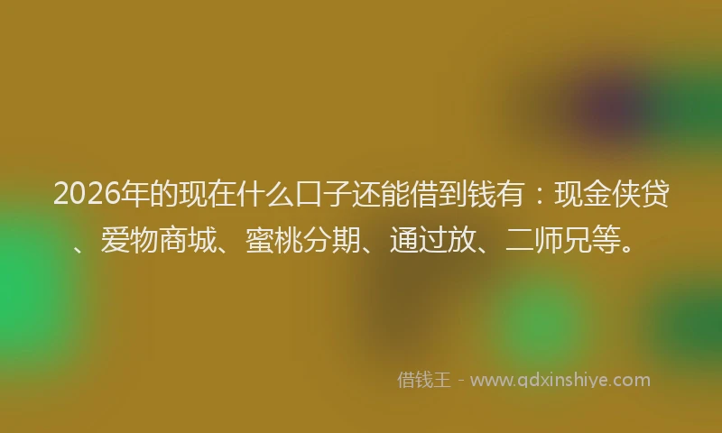 2026年的现在什么口子还能借到钱有：现金侠贷、爱物商城、蜜桃分期、通过放、二师兄等。