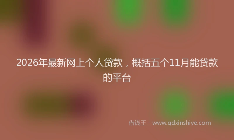 2026年最新网上个人贷款，概括五个11月能贷款的平台