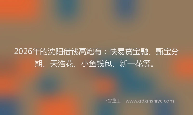 2026年的沈阳借钱高炮有：快易贷宝融、甄宝分期、天浩花、小鱼钱包、新一花等。