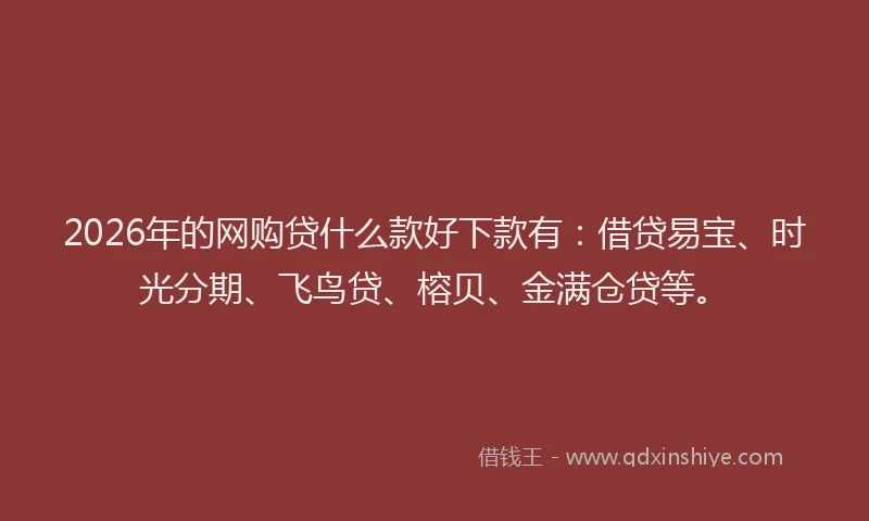 2026年的网购贷什么款好下款有：借贷易宝、时光分期、飞鸟贷、榕贝、金满仓贷等。