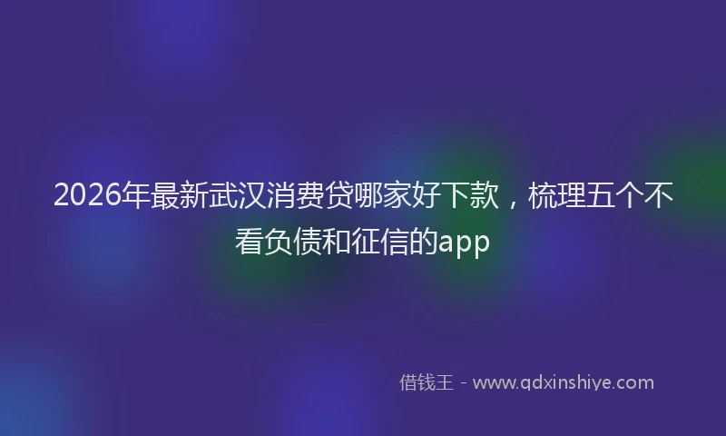 2026年最新武汉消费贷哪家好下款，梳理五个不看负债和征信的app