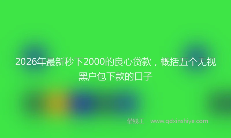 2026年最新秒下2000的良心贷款，概括五个无视黑户包下款的口子