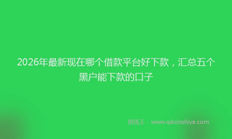 2026年最新现在哪个借款平台好下款，汇总五个黑户能下款的口子