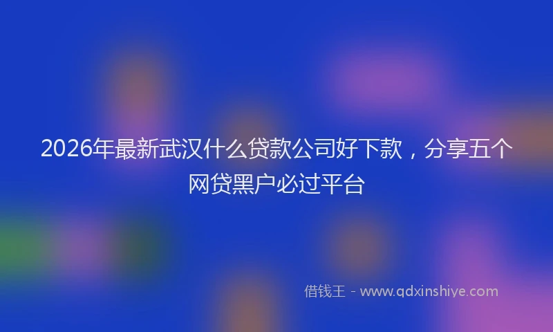 2026年最新武汉什么贷款公司好下款，分享五个网贷黑户必过平台