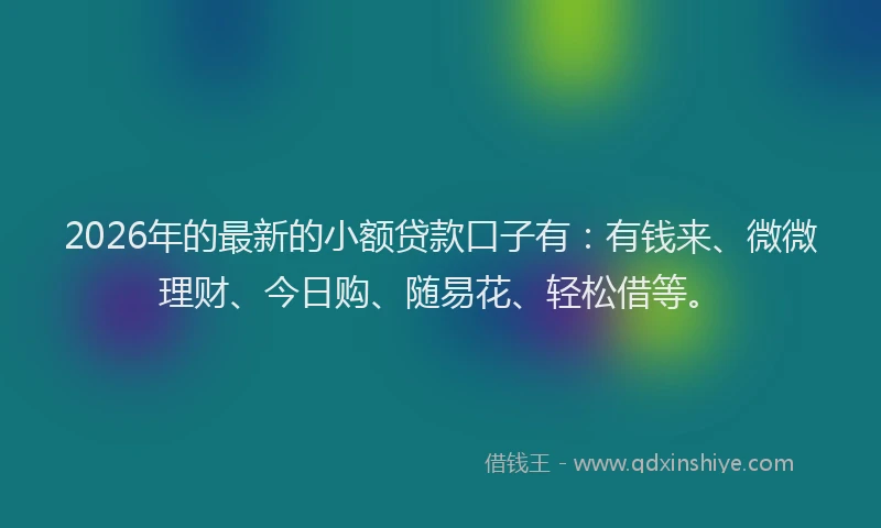 2026年的最新的小额贷款口子有：有钱来、微微理财、今日购、随易花、轻松借等。