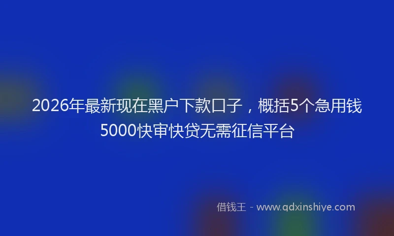 2026年最新现在黑户下款口子，概括5个急用钱5000快审快贷无需征信平台