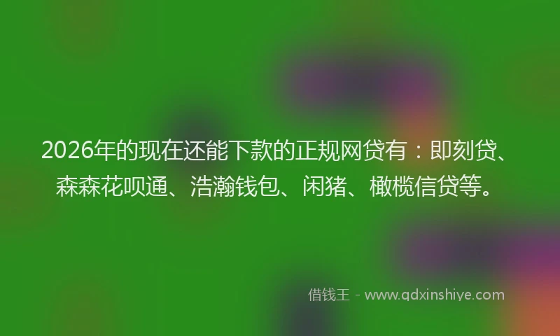2026年的现在还能下款的正规网贷有：即刻贷、森森花呗通、浩瀚钱包、闲猪、橄榄信贷等。