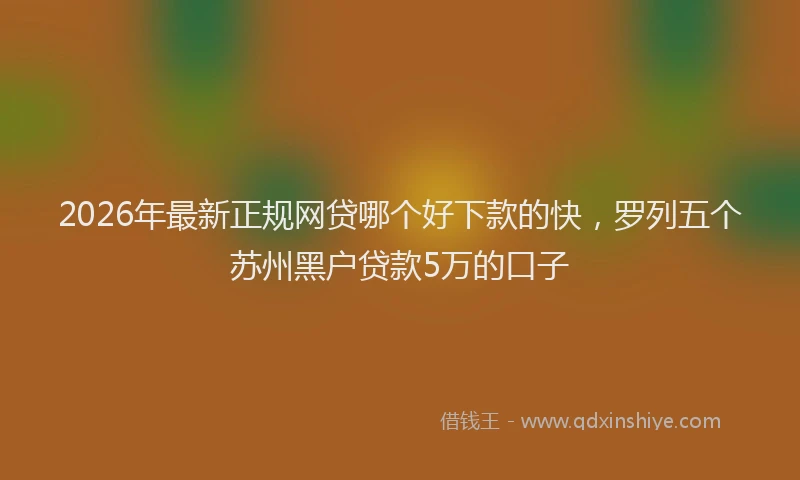 2026年最新正规网贷哪个好下款的快，罗列五个苏州黑户贷款5万的口子