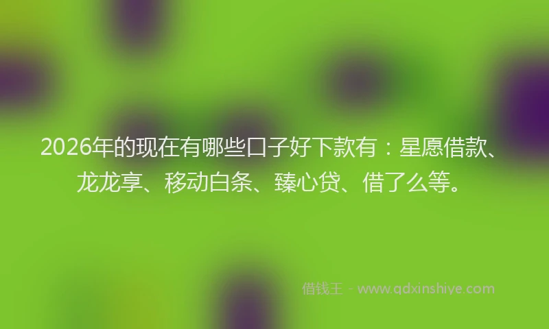 2026年的现在有哪些口子好下款有：星愿借款、龙龙享、移动白条、臻心贷、借了么等。