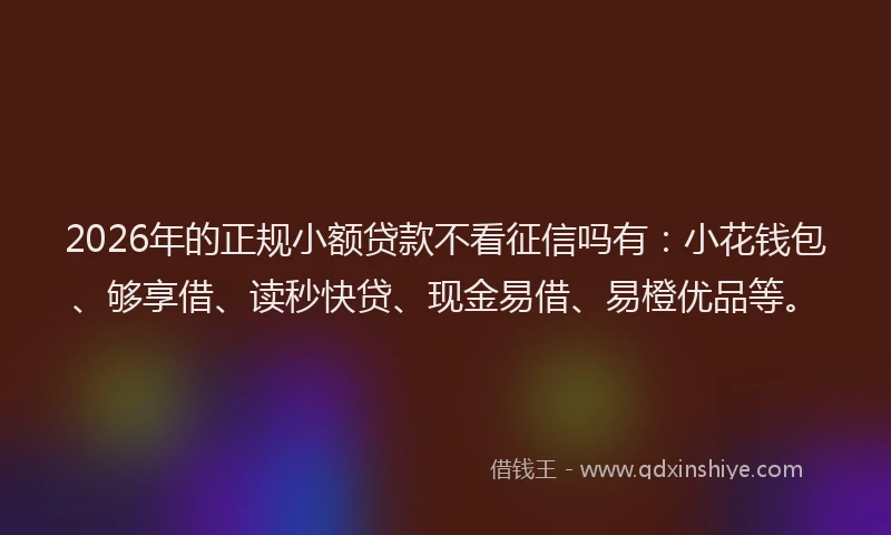 2026年的正规小额贷款不看征信吗有：小花钱包、够享借、读秒快贷、现金易借、易橙优品等。