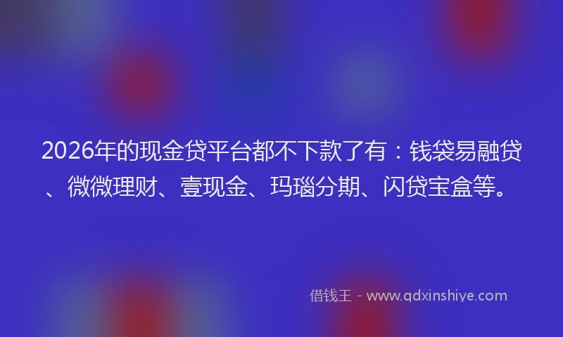2026年的现金贷平台都不下款了有：钱袋易融贷、微微理财、壹现金、玛瑙分期、闪贷宝盒等。