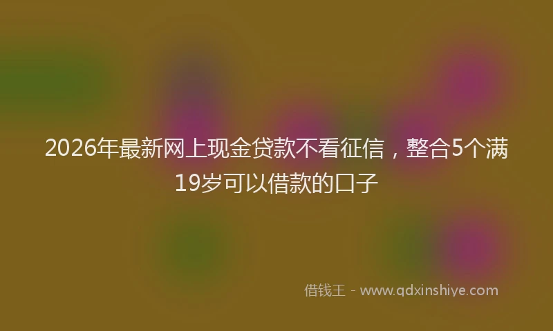2026年最新网上现金贷款不看征信，整合5个满19岁可以借款的口子