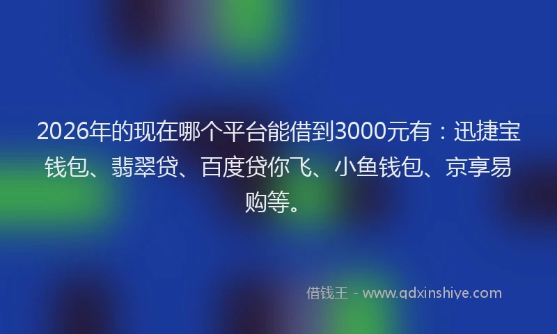 2026年的现在哪个平台能借到3000元有：迅捷宝钱包、翡翠贷、百度贷你飞、小鱼钱包、京享易购等。