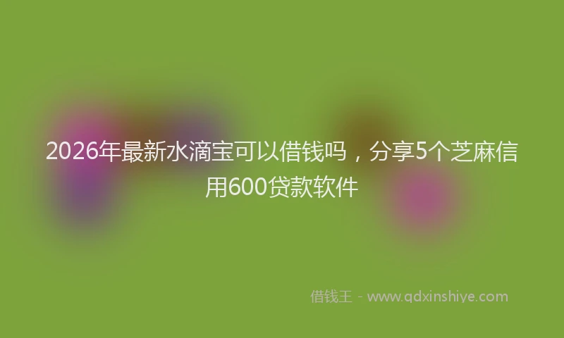 2026年最新水滴宝可以借钱吗，分享5个芝麻信用600贷款软件