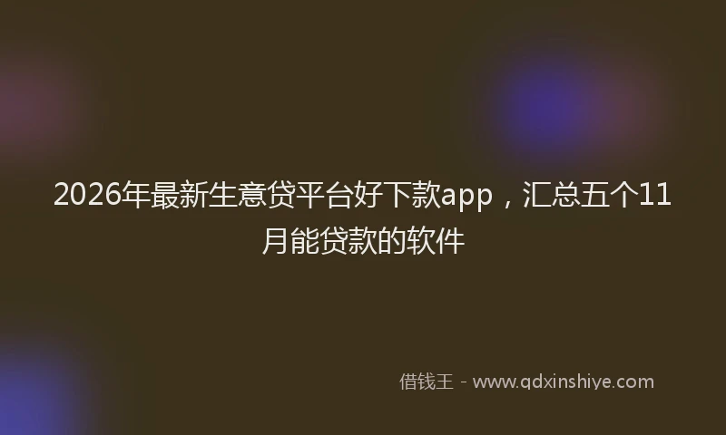 2026年最新生意贷平台好下款app，汇总五个11月能贷款的软件