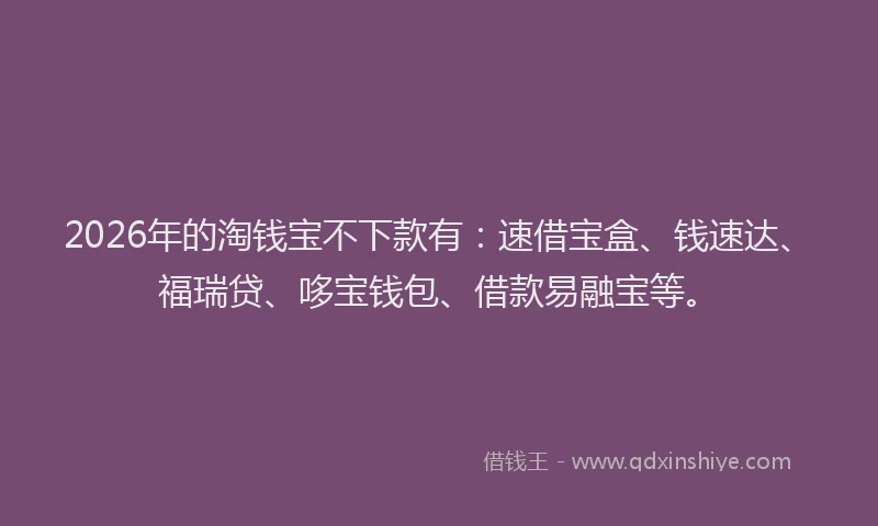 2026年的淘钱宝不下款有：速借宝盒、钱速达、福瑞贷、哆宝钱包、借款易融宝等。