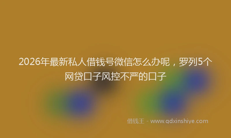 2026年最新私人借钱号微信怎么办呢，罗列5个网贷口子风控不严的口子