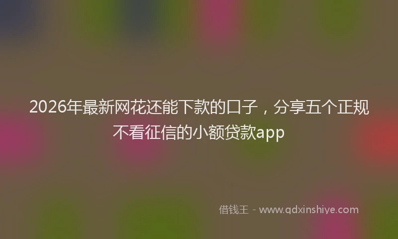 2026年最新网花还能下款的口子，分享五个正规不看征信的小额贷款app
