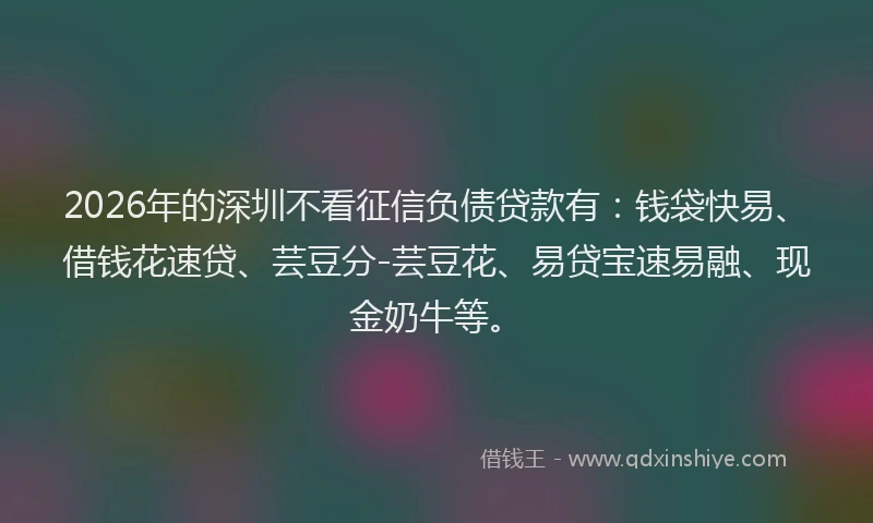 2026年的深圳不看征信负债贷款有：钱袋快易、借钱花速贷、芸豆分-芸豆花、易贷宝速易融、现金奶牛等。