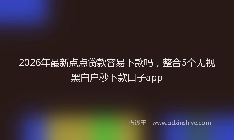 2026年最新点点贷款容易下款吗，整合5个无视黑白户秒下款口子app