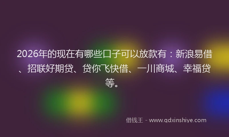 2026年的现在有哪些口子可以放款有：新浪易借、招联好期贷、贷你飞快借、一川商城、幸福贷等。