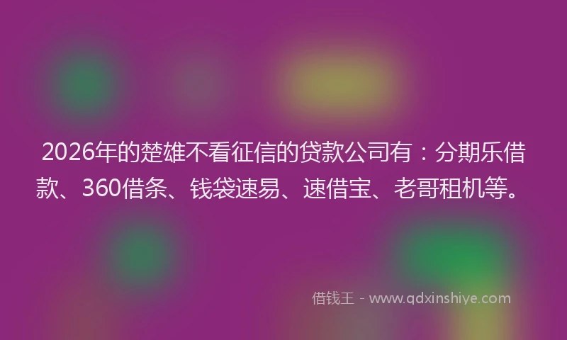 2026年的楚雄不看征信的贷款公司有：分期乐借款、360借条、钱袋速易、速借宝、老哥租机等。