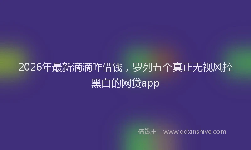 2026年最新滴滴咋借钱，罗列五个真正无视风控黑白的网贷app