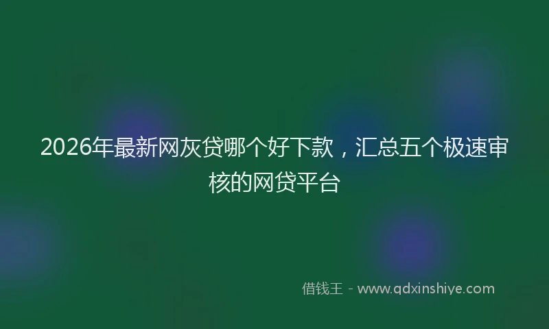 2026年最新网灰贷哪个好下款，汇总五个极速审核的网贷平台
