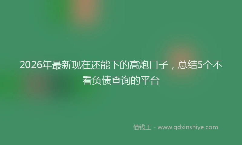 2026年最新现在还能下的高炮口子，总结5个不看负债查询的平台