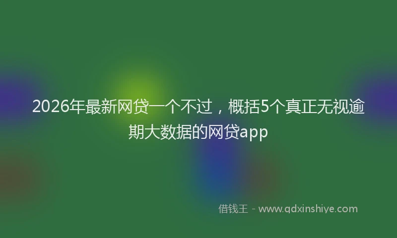 2026年最新网贷一个不过，概括5个真正无视逾期大数据的网贷app