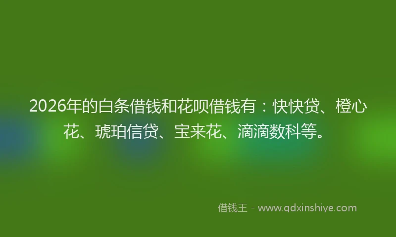 2026年的白条借钱和花呗借钱有：快快贷、橙心花、琥珀信贷、宝来花、滴滴数科等。